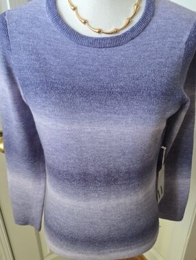 WORTHINGTON BRAND WOMEN'S PLUS SIZE BLUISH PURPLE PULLOVER SWEATER SIZE XXL